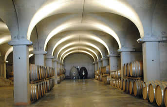 Maccari winery ageing room